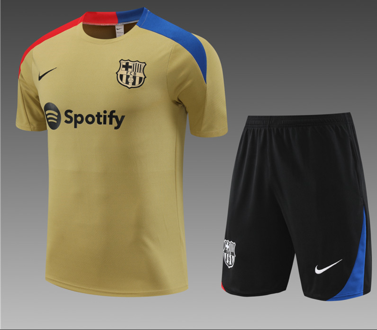 Survêtement Training FC Barcelone 2024/2025