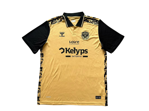 Saint-Etienne Third 2024/2025